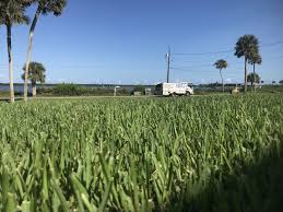 We are a locally owned and also operated pest control company in st augustine florida, we offer a selection of pest control and also elimination service for long lasting solutions, also preventative solutions in st. Healthy St Augustine New Smyrna Beach Florida New Smyrna Beach Smyrna Beach