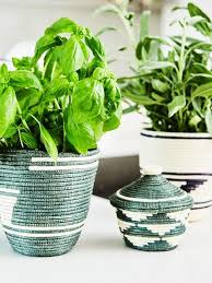 Now you can enjoy growing indoors all year long! So Gestalten Sie Ihren Personlichen Indoor Garten Westwing