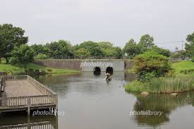 埼玉県加須市騎西町の騎西総合公園 写真素材 [ 6061914 ] - フォトライブラリー photolibrary