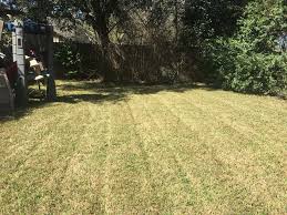 Read real reviews and see ratings for san antonio lawn care services for free! Fiesta Lawn Care Posts Facebook