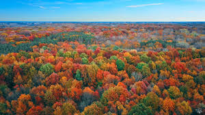 2,489 likes · 113 talking about this · 5,964 were here. Buzz From Above Drone Flying Adventures In The Kankakee River Valley Country Herald