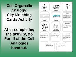 Cell organelle kitchen analogies worksheet. Cells Structure And Function Ppt Video Online Download