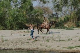 Wild horses are beautiful, complex creatures. Experience Horseback Riding In Sedona Ride Horses In Sedona Sedona Org