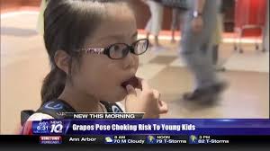 Michigan toddler chokes to death