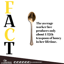 Amazing Facts About Honey Bee Honey Smile Picoftheday L4l Like4like 2k17 Kuwait Gcc Gulf Tbt Happynewyear 2 Honey Bee Facts Benifits Of Honey Bee