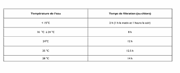 Combien De Temps Pour La Filtration De Ma Piscine Faq Piscines Desjoyaux