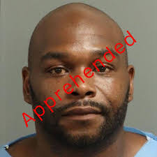 Dan Gearhart's Instagram, Twitter & Facebook