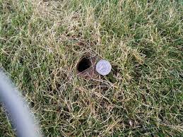 I felt around it and didn't feel any water or moisture, and we haven't seen any bugs or insects in the house (doesn't mean they don't exist, of course). What Made These Burrows And Holes In My Lawn Picture Inside Home Improvement Stack Exchange