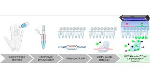Image result for G6PD Deficiency Detection