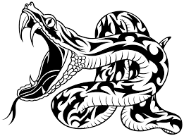Image Result For Snake Head Drawings