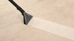 157377325 this carpet wand is releasing hot water onto the carpet and then vaccuming it up. How Long Does It Take To Clean A Carpet Fantastic Services Aus