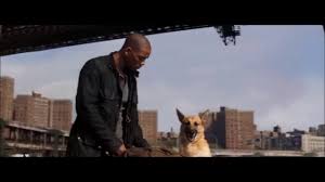 The perfect iamlegend dog animated gif for your conversation. I Am Legend My Name Is Robert Neville Scene Hd Youtube