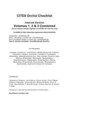 Image result for Disa ochrostachya