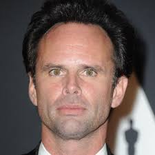 Watch Fallout (2024) TV Series Free Online