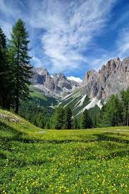 Pin On Nature Photography