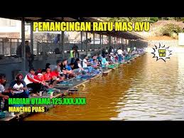 Lomba Mancing Galatama Di Pemancingan Ratu Mas Ayu Padalarang Hadiah Utama 125jt Youtube