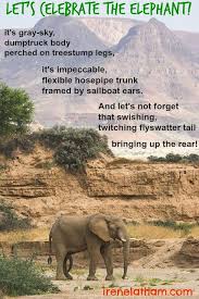 Live Your Poem Happy Elephant Appreciation Day Elephant Happy Elephant Poems