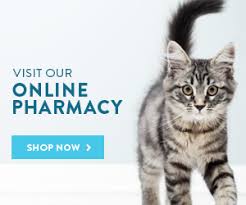 Our lincoln veterinarian office is very easy to get to, and you can find directions on our contact us page. Lincoln Park Il Veterinarian Mid North Animal Hospital