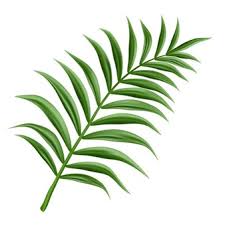 The palm leaf collage can be cut out and a pipe cleaner attached so it can be waved during the story. Palm Leaf Images Free Vectors Stock Photos Psd