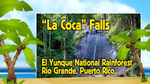 4 reviews of la coca falls awesome trail, waterfall, rivers and swimming spots! La Coca Falls El Yunque National Rainforest Puerto Rico Youtube