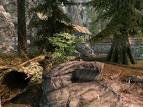 Skyrim Extreme Graphics (ENB Series) Comparison -