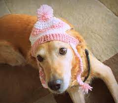 Dog Hat Ear Flap Dog Hat Dog Beanie Pom Pom Hat For Dogs Etsy Christmas Dog Hat Dog Photo Prop Dog Hat