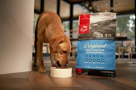 Jul 02, 2021 · controversial new top chef champion crowned amidst harassment allegations as someone who has been sexually harassed, this topic is serious and merits openness, host padma lakshmi wrote Champion Petfoods Names Tda Boulder As Aor For North America Agencyspy