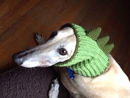 Dinosaur Made To Order Snood Hat For Dogs Crochet Dog Snood Crochet Snood Crochet Dog