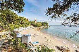 Philippe auguste is another subway stop for cimitiere pere lachaise. Bois De La Chaise Noirmoutier Island S Forest