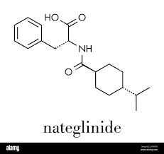Image result for Meglitinide