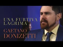 Rojas School Of Music