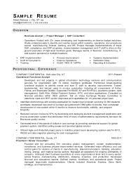 Writing a professional resume is a very important step in your job hunt. Sample It Resume From Redrocketresume