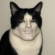 Junji Itos creepy little kitty!