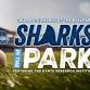 Sharks in the Park ⚾