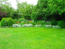 Viel Garten Fur Wenig Geld Garten Garten Ideen Und Ziergarten