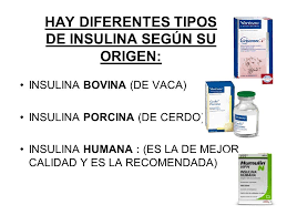 INSULINAS: ADMINISTRACIÓN Y REGISTRO DE ENFERMERÍA - ppt video ...