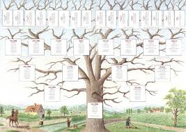 J'ai achet^ ces tables et oes chaises pour ma ces petits arbres sont a noire voisin. L Arbre Genealogique Trame De Votre Genealogie