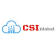 CSI GLOBAL LTD