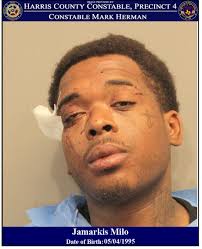 Police Chase Ends In Arrest Of A Wanted Suspect