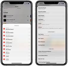 Apple music's web players works in all browsers, including apple music's online player supports both light and dark modes, if you are running macos 10.14 or. Marvis Review The Ultra Customizable Apple Music Client Macstories