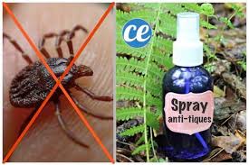 Enfin Un Repulsif Naturel Contre Les Tiques A L Efficacite Redoutable Les Tiques Tiques Repulsif