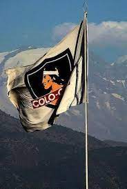 From spanish colocolo (colocolo (cat)), from mapudungun colo colo (a creature in mapuche mythology). Bandera Del Colo Colo Chile Colocolo Carteles De Futbol Futbol Chileno