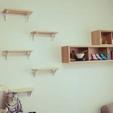 眠くてカイヌシのお迎えに行けなかったでしゅ ヲカシモデルになりたいニャ 人をダメにするソファ 猫もダメにするソファ 無印クッション 癒し系猫 猫好きな人と繋がりたい 猫多頭飼い フェリシモ猫部 抜け毛 スコ部 instagram posts instagram cats