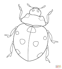Ladybug Super Coloring Ladybug Coloring Page Bug Coloring Pages Insect Coloring Pages
