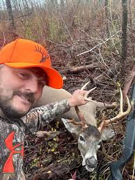 This week, we're shining a spotlight