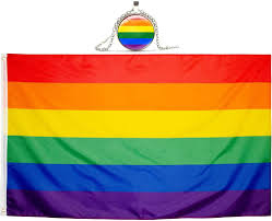 Meanings & terms of pride rainbow. Flaggen Lgbt Aufhangen Flaggengrosse Gay Kaufland De