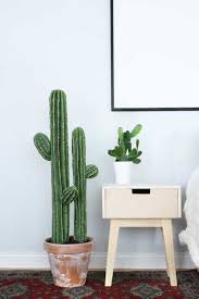 I am afraid to… q.do you think my cardboard plant has a chance? Diy Fake Plants Ohoh Deco