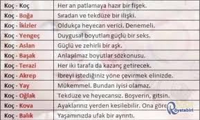 Koc Burcunun Diger Burclarla Uyumu Ask Ve Cinsellik 1001ruyatabiri Com