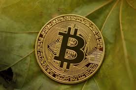 Here are some of the benefits of offering cryptocurrency payment services, with a quick overview on how crypto processing itself works. Digital Impact Coins Civicinvestment Fintech Cryptocurrency Blockchain Dlts Bitcoin Faucet Bitcoin Blockchain
