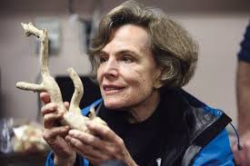 The Last Dive? Funding for Human Expeditions in the Ocean May Have Run  Aground